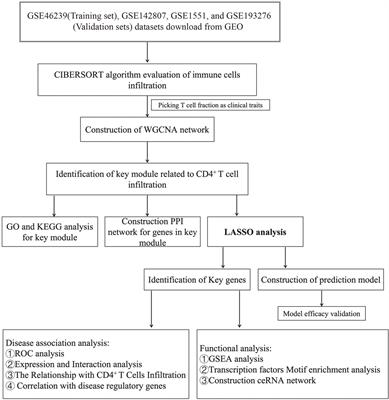 Identification of Biomarkers Associated With CD4+ T-Cell Infiltration With Gene Coexpression Network in Dermatomyositis